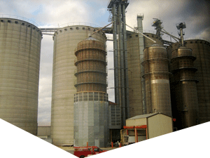 cc攻击免费网页版